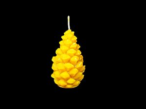 "Čiekurs priedes mazais"