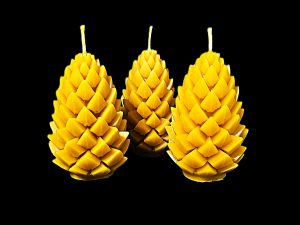 “Čiekurs Zelta”