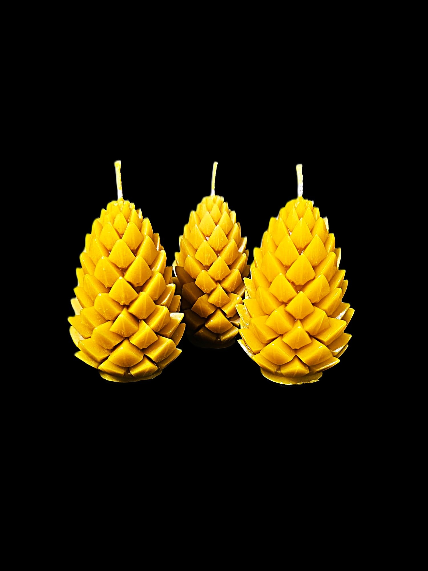 "Čiekurs Zelta" - Image 2