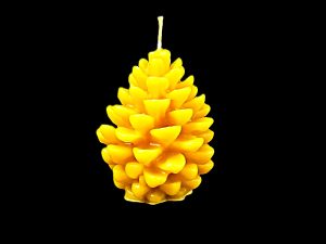 “Čiekurs ciedru”