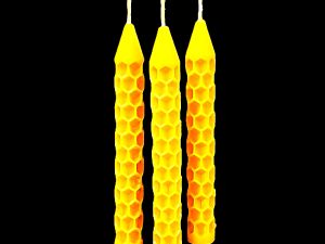 “Eglīšu svecīte šūna”